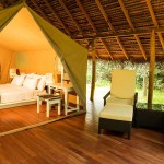 Aliya Resorts & Spa (7)
