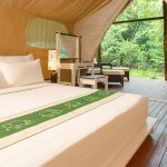 Aliya Resorts & Spa (8)