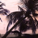 Biyadhoo Island Resort (4)