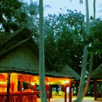 Biyadhoo Island Resort (6)