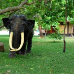 Elephant Reach Hotel (3)