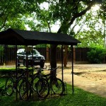Elephant Reach Hotel (4)