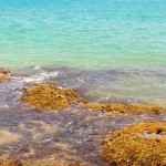 Shinagawa Beach (7)