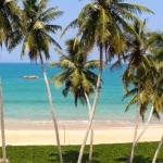 Shinagawa Beach (9)