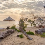 Jungle Beach Trinco – Uga Escapes (32)