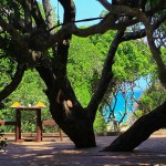 Jungle Beach Trinco – Uga Escapes (34)