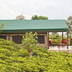 Madulkelle Tea & Eco Lodge (20)
