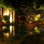 41 Lighthouse Street (8)