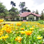 Anilana Craigbank (1)