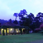 Anilana Craigbank (22)