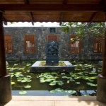 Auraliya (2)