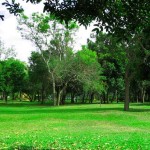 Chaaya Village (18)