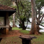 Chaaya Village (20)