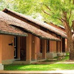 Chaaya Village (27)