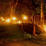 Leopard Trails (14)