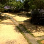 Leopard Trails (16)