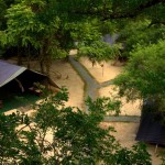 Leopard Trails (18)