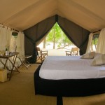 Leopard Trails (2)
