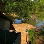 Leopard Trails (22)
