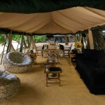 Leopard Trails (29)