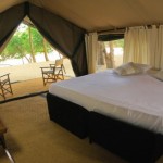 Leopard Trails (33)